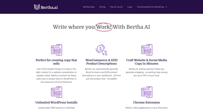 Bertha AI