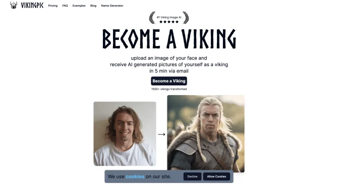 VikingPic